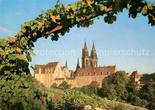 AK / Ansichtskarte Meissen Elbe Sachsen Albrechtsburg und Dom Blick von den Weinbergen auf der Moenchslehne Kat. Meissen