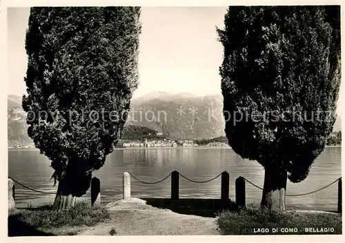 AK / Ansichtskarte Bellagio Lago di Como Uferpromenade Comer See Pappeln