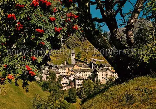 AK / Ansichtskarte Fusio Panorama Valle Maggia Il Ticino pittoresco Kat. Fusio