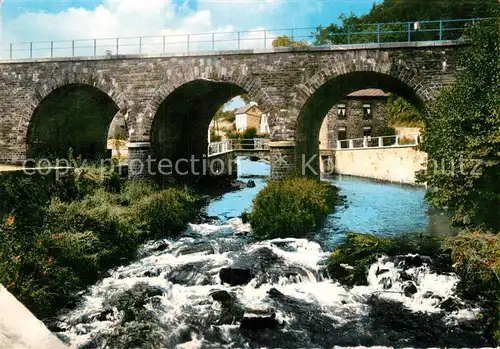 AK / Ansichtskarte Salmchateau La Salm sauvage Pont Kat. 