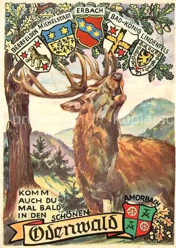AK / Ansichtskarte Odenwald Illustration mit Wappen Beerfelden Michelstadt Erbach Bad Koenig Lindenfels Amorbach