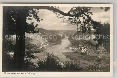 AK / Ansichtskarte Foto Zeitz F.G. Nr. 1176 Moseltal Alf Bullay  Kat. Berchtesgaden