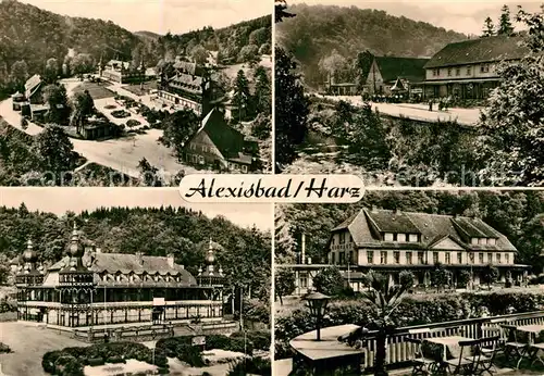 AK / Ansichtskarte Alexisbad Harz Kurhaus Park Teilansicht  Kat. Harzgerode