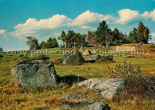 AK / Ansichtskarte Gmuend Niederoesterreich Blockheide Eibenstein Kat. Gmuend