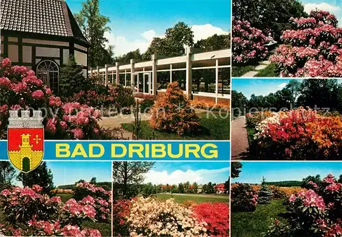 AK / Ansichtskarte Bad Driburg Kurpark Kat. Bad Driburg