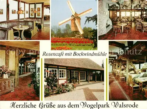 AK / Ansichtskarte Walsrode Lueneburger Heide Rosencafe Bockwindmuehle Kat. Walsrode