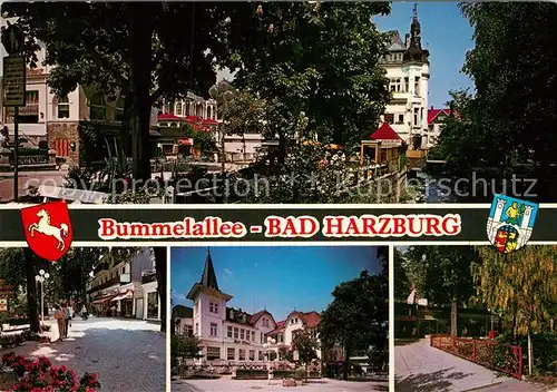 AK / Ansichtskarte Bad Harzburg Bummelallee Kat. Bad Harzburg