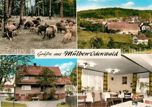 AK / Ansichtskarte Muelben Wildgehege Pension Peter Weiss Kat. Waldbrunn