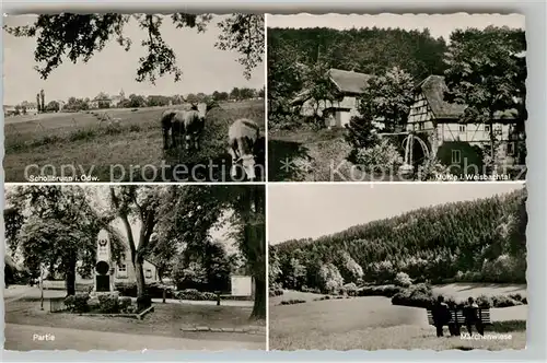 AK / Ansichtskarte Struempfelbrunn Gasthof Pension zur Linde Kat. Waldbrunn