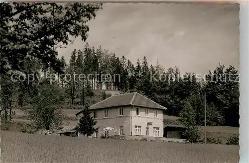 AK / Ansichtskarte Waldkatzenbach Pension Kat. Waldbrunn