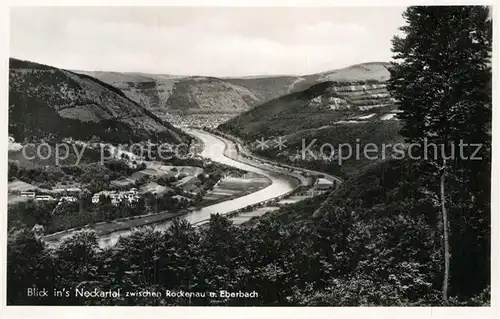 AK / Ansichtskarte Neckartal Rockenau Eberbach