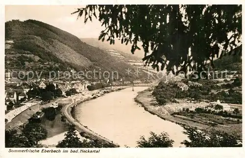 AK / Ansichtskarte Eberbach Neckar Panorama Kat. Eberbach