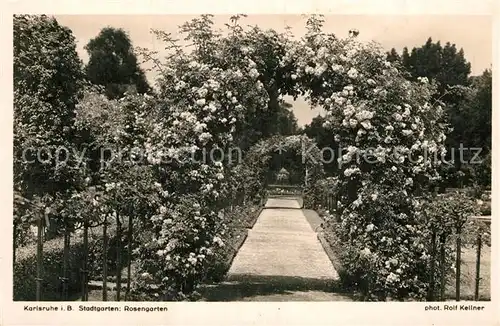 AK / Ansichtskarte Foto Kellner Rolf Nr. 874 Karlsruhe Stadtgarten Rosengarten  Kat. Fotografie