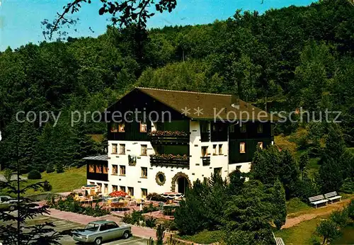 AK / Ansichtskarte Rothenkirchen Huenfeld Hotel Restaurant Rainmuehle Kat. Burghaun