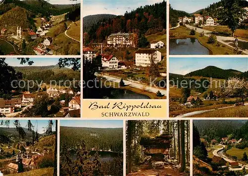 AK / Ansichtskarte Bad Rippoldsau Schwarzwald  Kat. Bad Rippoldsau Schapbach