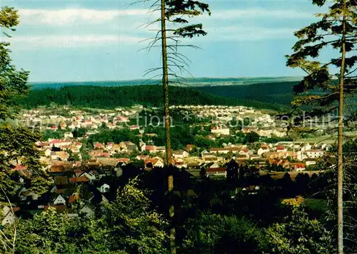 AK / Ansichtskarte Bad Driburg mit Steinberg Kat. Bad Driburg