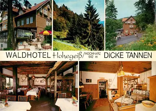 AK / Ansichtskarte Hohegeiss Harz Waldhotel Dicke Tannen Kat. Braunlage