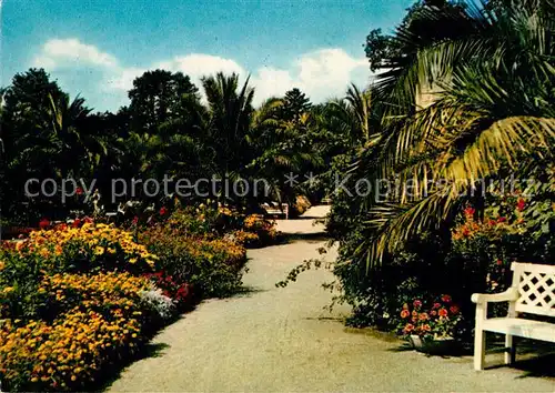 AK / Ansichtskarte Bad Pyrmont Kurpark Palmengarten Kat. Bad Pyrmont