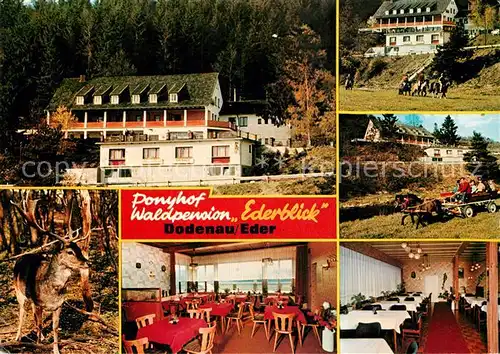 AK / Ansichtskarte Dodenau Ponyhof Waldpension Ederblick Kat. Battenberg (Eder)