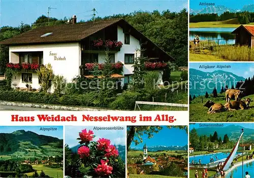 AK / Ansichtskarte Nesselwang Haus Weidach Attlesee Schwimmbad Alpvieh Kat. Nesselwang