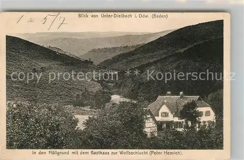 AK / Ansichtskarte Unterdielbach Hoellgrund Kat. Eberbach