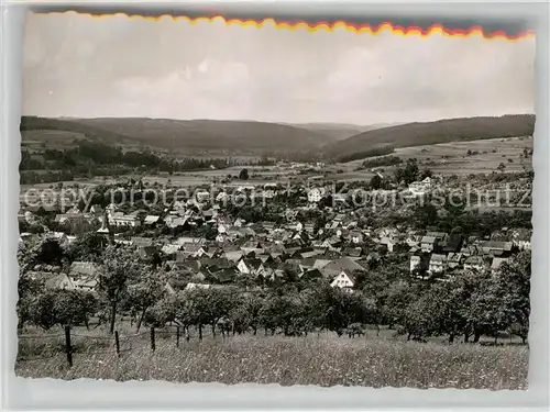 AK / Ansichtskarte Bad Koenig Odenwald Panorama  Kat. Bad Koenig