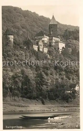 AK / Ansichtskarte Zwingenberg Neckar Schloss