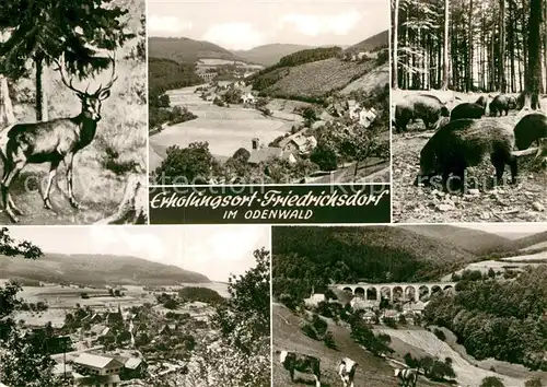 AK / Ansichtskarte Friedrichsdorf Eberbach Panoramen Viadukt Hirsch Wildschweine