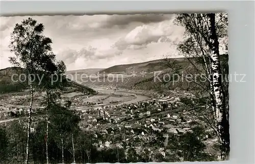 AK / Ansichtskarte Eberbach Neckar Panorama Kat. Eberbach