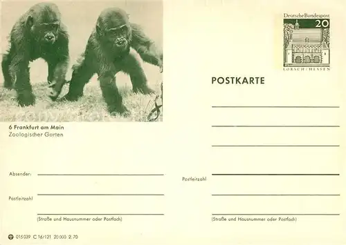 AK / Ansichtskarte Affen Zoo Frankfurt am Main  Kat. Tiere