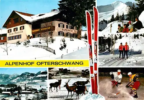 AK / Ansichtskarte Ofterschwang Alpenhof Cafe Hotel Pension Wild Eishockey Schlepplift Kat. Ofterschwang
