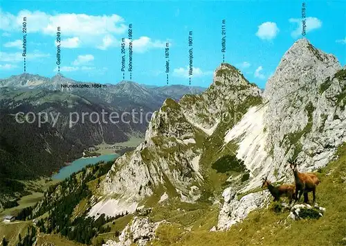 AK / Ansichtskarte Nesselwaengle Tirol Gimpelhaus Steinboecke Kletterparadies Kat. Nesselwaengle