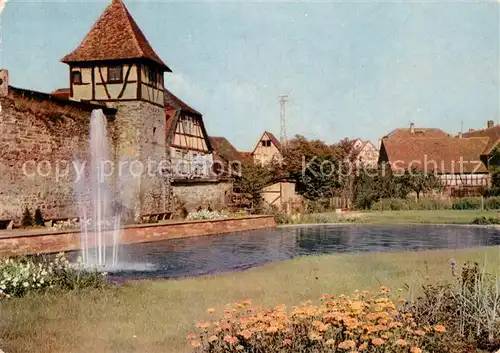 AK / Ansichtskarte Michelstadt Stadtgarten mit Stadtmauer Kat. Michelstadt