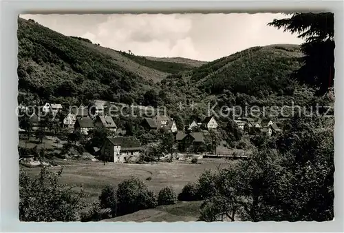 AK / Ansichtskarte Langenthal Odenwald Teilansicht  Kat. Hirschhorn (Neckar)