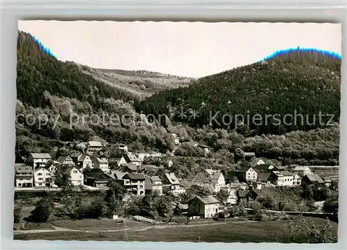 AK / Ansichtskarte Langenthal Odenwald Teilansicht  Kat. Hirschhorn (Neckar)