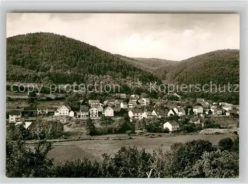 AK / Ansichtskarte Langenthal Odenwald Teilansicht  Kat. Hirschhorn (Neckar)