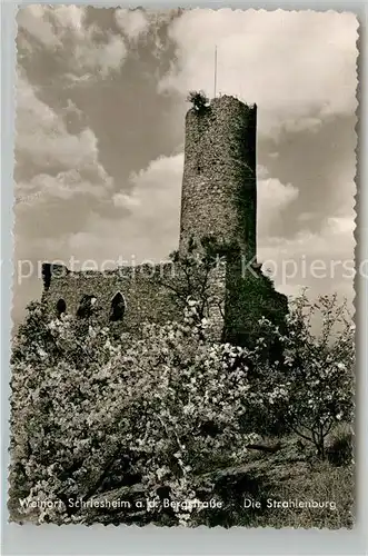 AK / Ansichtskarte Schriesheim Strahlenburg Burgruine an der Bergstrasse Baumbluete Kat. Schriesheim