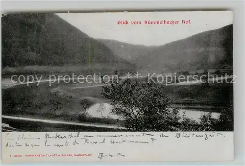 AK / Ansichtskarte Neckargemuend Kuemmelbacher Hof Blick ins Neckartal Kat. Neckargemuend