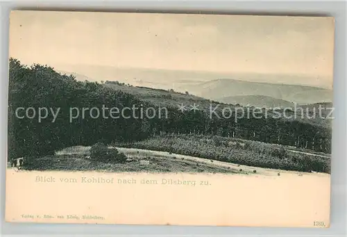AK / Ansichtskarte Neckargemuend Panorama Blick vom Kohlhof nach dem Dilsberg Kat. Neckargemuend