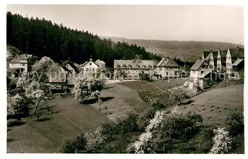 AK / Ansichtskarte Schriesheim Panorama Kat. Schriesheim