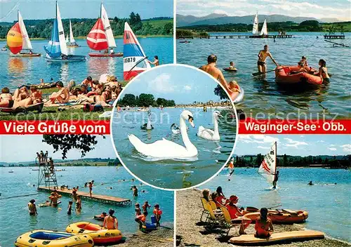 AK / Ansichtskarte Waging See Teilansichten Segeln Surfen Kat. Waging a.See