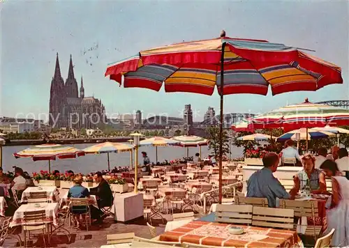 AK / Ansichtskarte Koeln Rhein Suennerterrasse und Dom Kat. Koeln