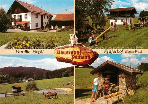 AK / Ansichtskarte Jandelsbrunn Bauernhof Pension Pfifferhof  Kat. Jandelsbrunn