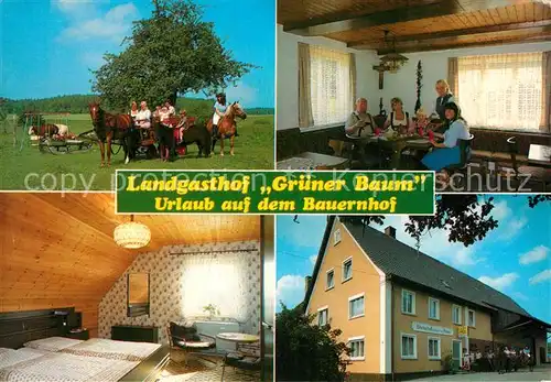 AK / Ansichtskarte Ragenreute Gasthof Gruener Baum  Kat. Eichstegen