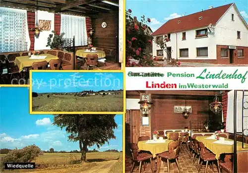 AK / Ansichtskarte Linden Westerwald Pension Lindenhof Wiedquelle  Kat. Linden