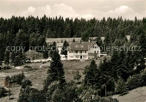 AK / Ansichtskarte Hierholz Pension Haus Scharnikau Kat. Dachsberg