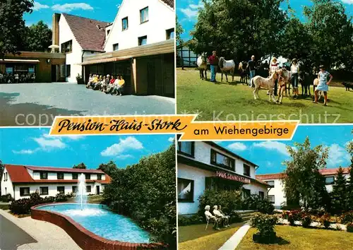 AK / Ansichtskarte Bad Holzhausen Luebbecke Pension Haus Stork Kat. Preussisch Oldendorf