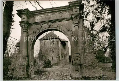 AK / Ansichtskarte Neckarbischofsheim Prachttor im Schlossgarten Kat. Neckarbischofsheim