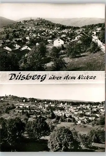 AK / Ansichtskarte Dilsberg Neuhof mit Dilsberg Bromsilber Kat. Neckargemuend