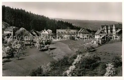 AK / Ansichtskarte Wilhelmsfeld Panorama Kat. Wilhelmsfeld